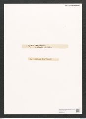 Navicula vucotinoviczii [sic] Pant. (de-Toni-Nr.: Genus 1, Species 682) Zeichnungen Sammlung Grunow (NHMW-BOT-W0367916)